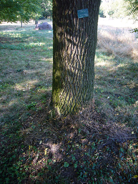 Arboretum de l'Ecole du Breuil