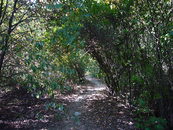 Arboretum de l'Ecole du Breuil