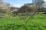 Arboretum de l'Ecole du Breuil