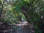 Arboretum de l'Ecole du Breuil