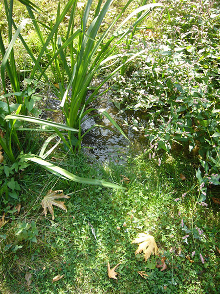 Arboretum de l'Ecole du Breuil