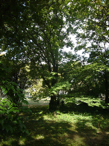 Arboretum de l'Ecole du Breuil