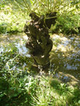 Arboretum de l'Ecole du Breuil