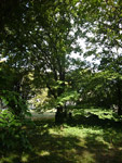 Arboretum de l'Ecole du Breuil