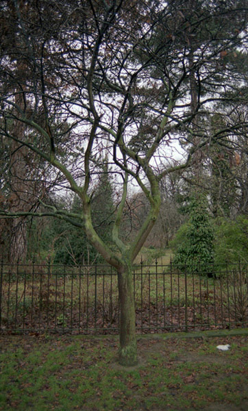 Jardin des Plantes