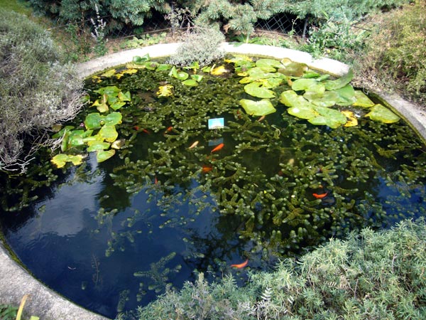 Jardin des Plantes