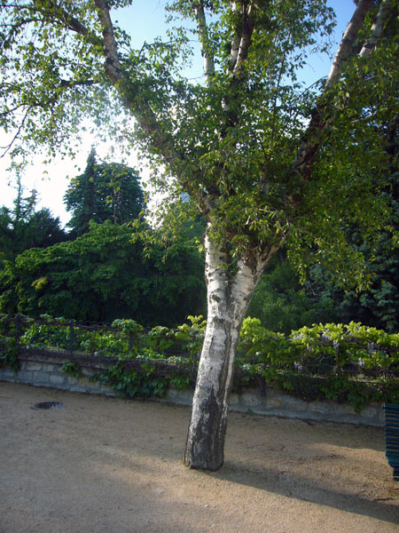 Jardin des Plantes