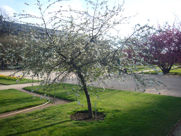 Jardin des Plantes