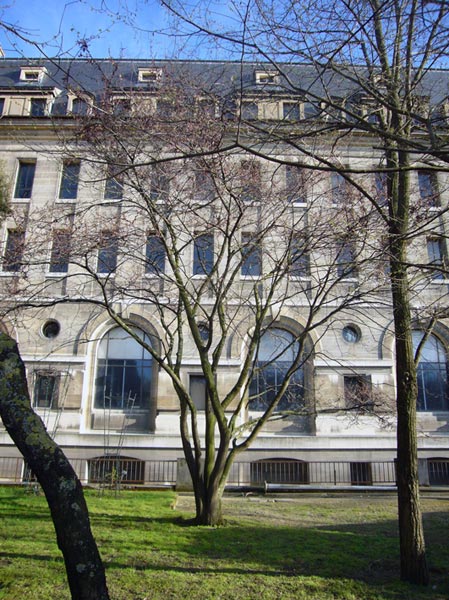 Jardin des Plantes