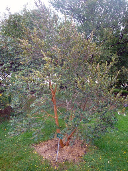 Jardin des Plantes