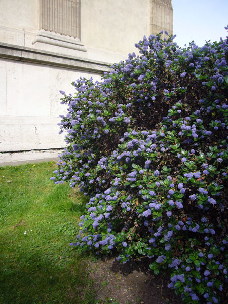 Jardin des Plantes