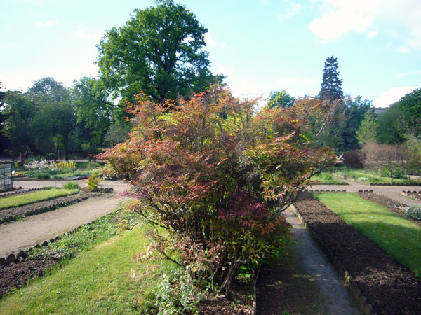 Jardin des Plantes