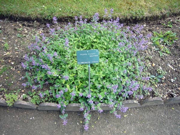 Jardin des Plantes