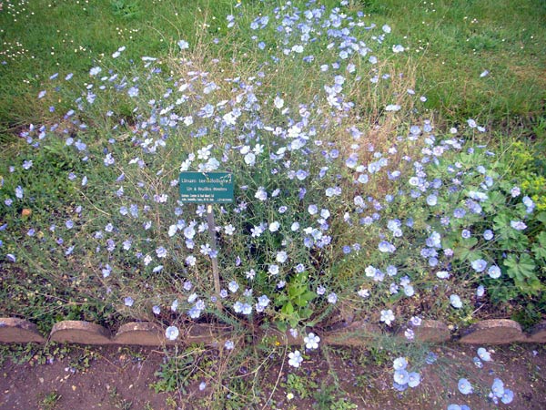 Jardin des Plantes