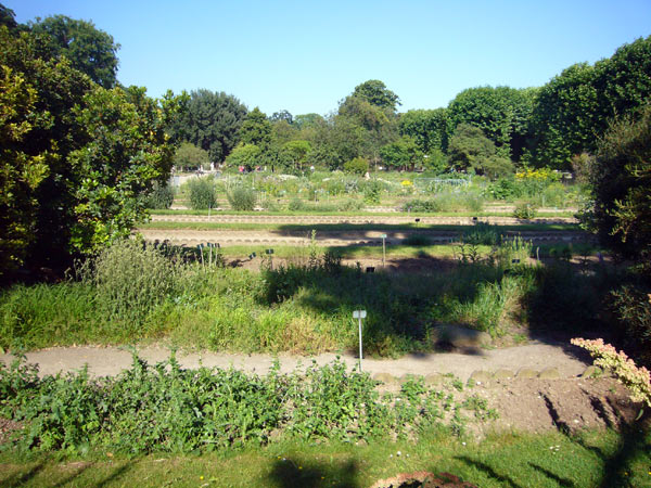 Jardin des Plantes