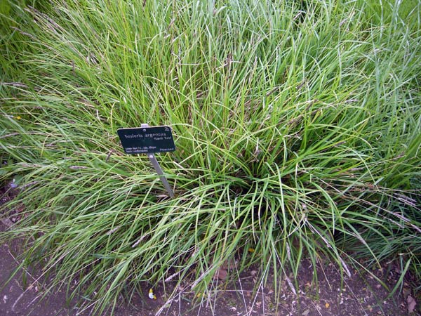 Jardin des Plantes