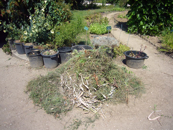 Jardin des Plantes