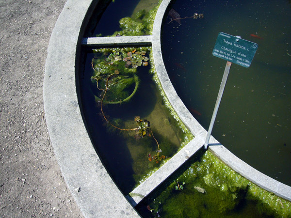 Jardin des Plantes