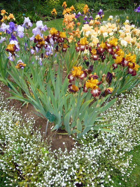 Jardin des Plantes