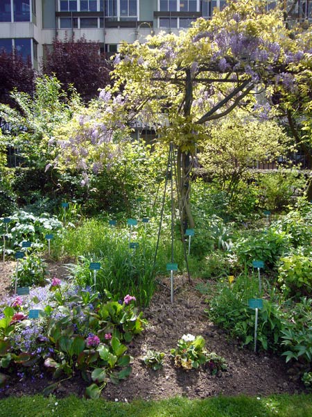 Jardin des Plantes