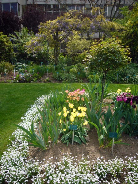 Jardin des Plantes