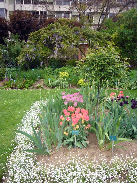 Jardin des Plantes