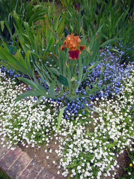 Jardin des Plantes