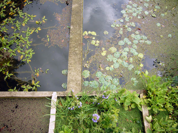 Jardin des Plantes