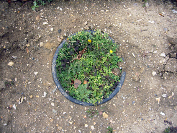 Jardin des Plantes