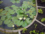 Jardin des Plantes