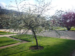 Jardin des Plantes