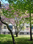 Jardin des Plantes