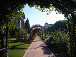 Jardin des Plantes