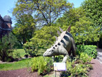 Jardin des Plantes