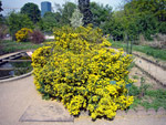 Jardin des Plantes