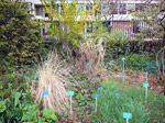 Jardin des Plantes