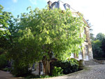 Jardin des Plantes