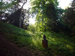 Jardin des Plantes