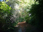 Bois de Vincennes