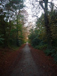 Bois de Vincennes