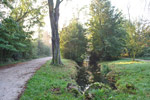 Bois de Vincennes