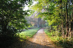 Bois de Vincennes